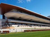 〇函館競馬場 《市電 約12分》の画像