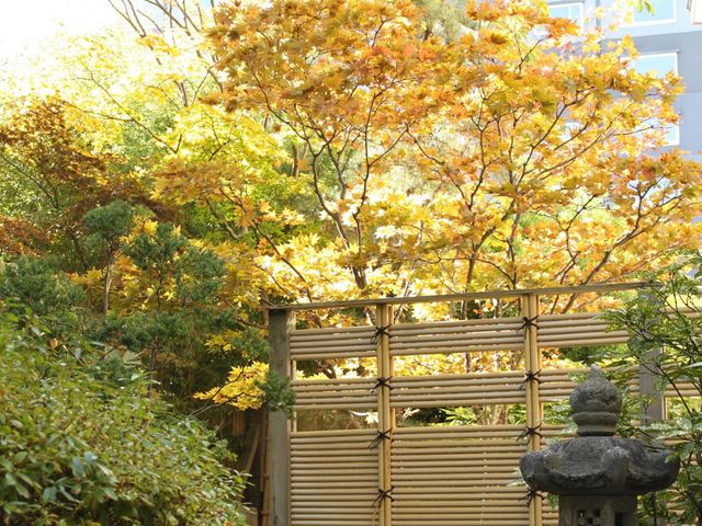 花びしホテル 秋の庭園風景