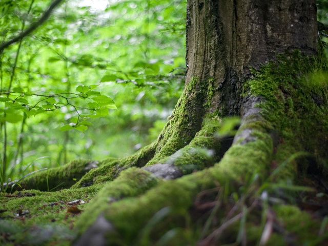 マースガーデンホテル博多 SDGs環境への取り組み（ECO連泊プラン）