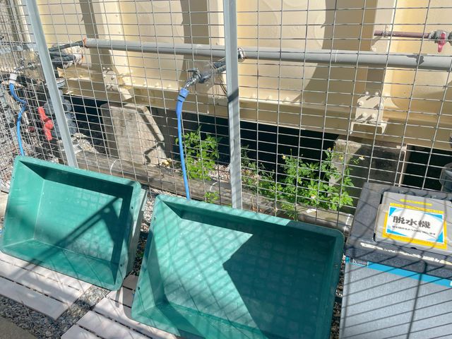 機材洗い場の画像